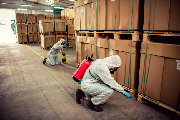 Best Best Pest Control Companies  in Summerfield, MD