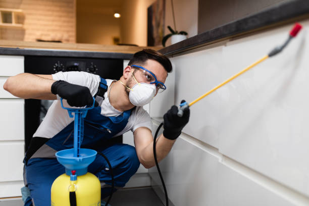Best Rat Extermination Near Me  in Summerfield, MD