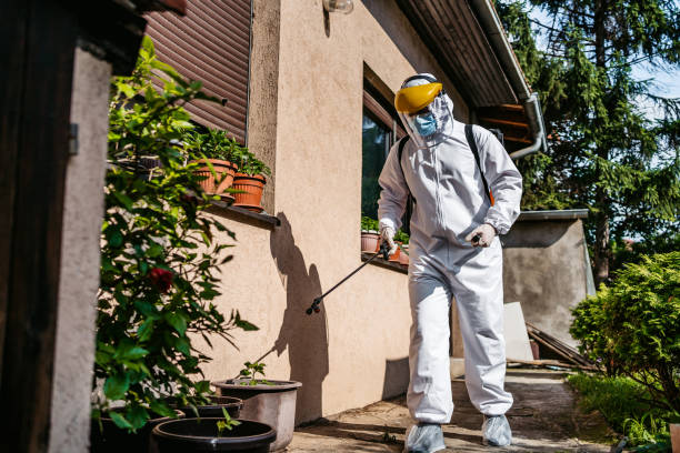 Best Exterminator Services  in Summerfield, MD