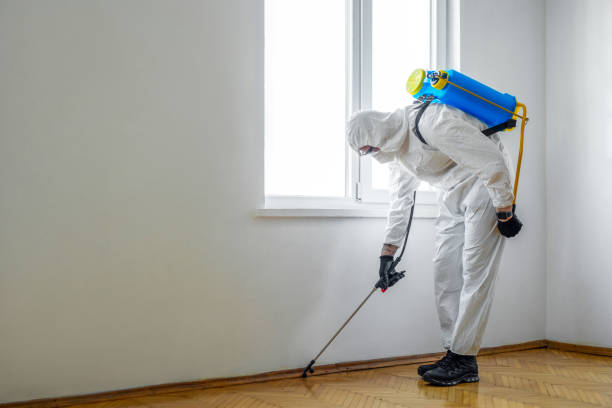 Best Wildlife Control Services  in Summerfield, MD
