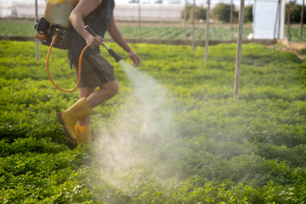Best Pest Control for Businesses  in Summerfield, MD
