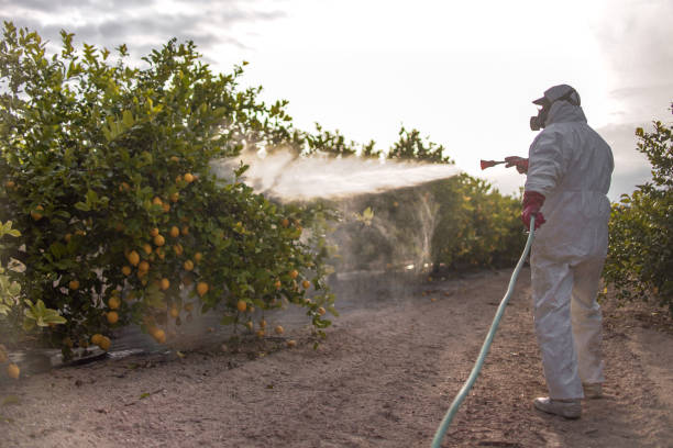 Best Pest Control Cost  in Summerfield, MD