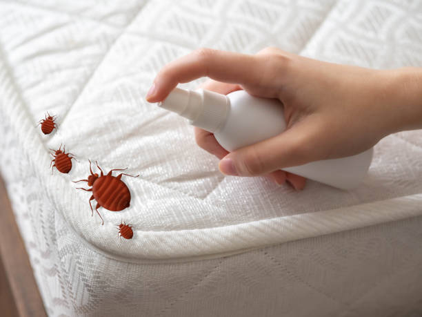 Best Affordable Pest Control Services  in Summerfield, MD