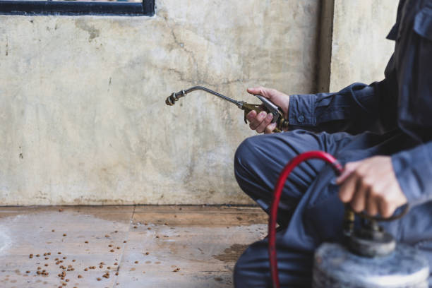 Best Local Pest Control Services  in Summerfield, MD