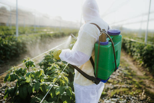 Best Wasp Removal Services  in Summerfield, MD